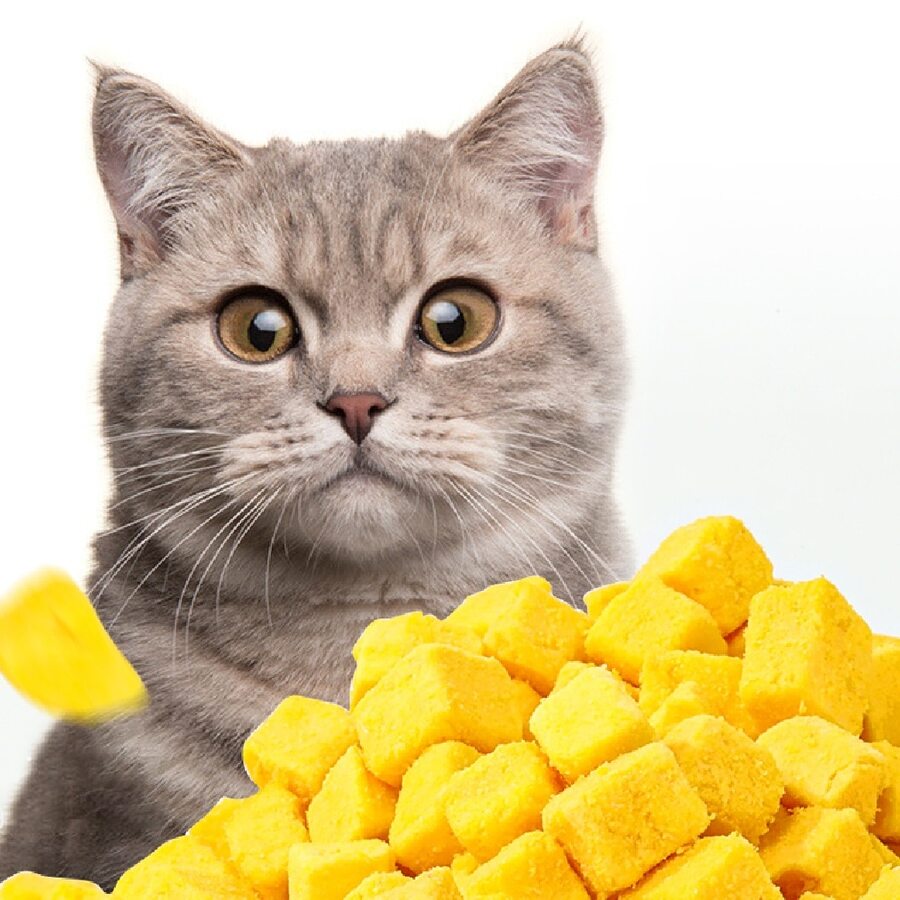 Hairball Control Treats for Cats