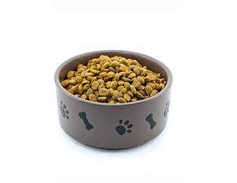 Good Pup Large Breed Chicken & Whole Grain