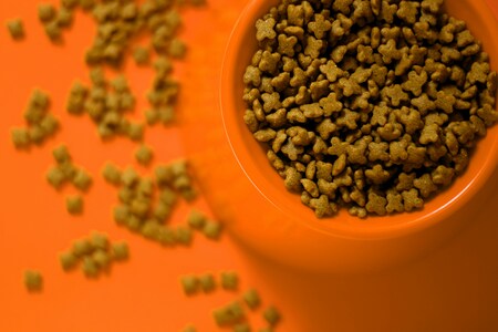 Premium Grain-Free Dog Food - Chicken & Sweet Potato