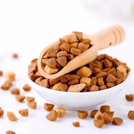 Crunchy Cat Treats - Salmon Flavor